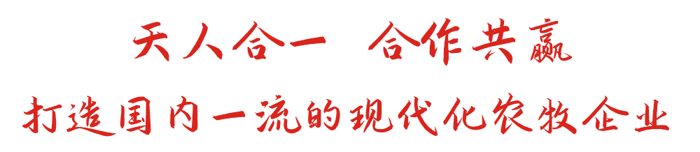 尊龙官方app下载