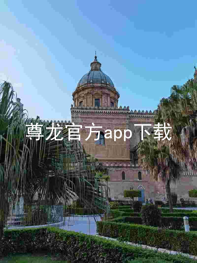 尊龙官方app下载