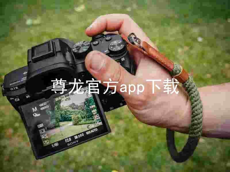 尊龙官方app下载
