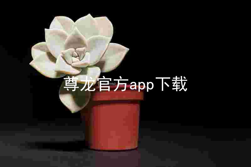 尊龙官方app下载