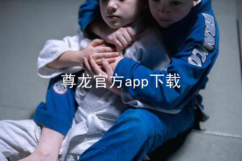 尊龙官方app下载