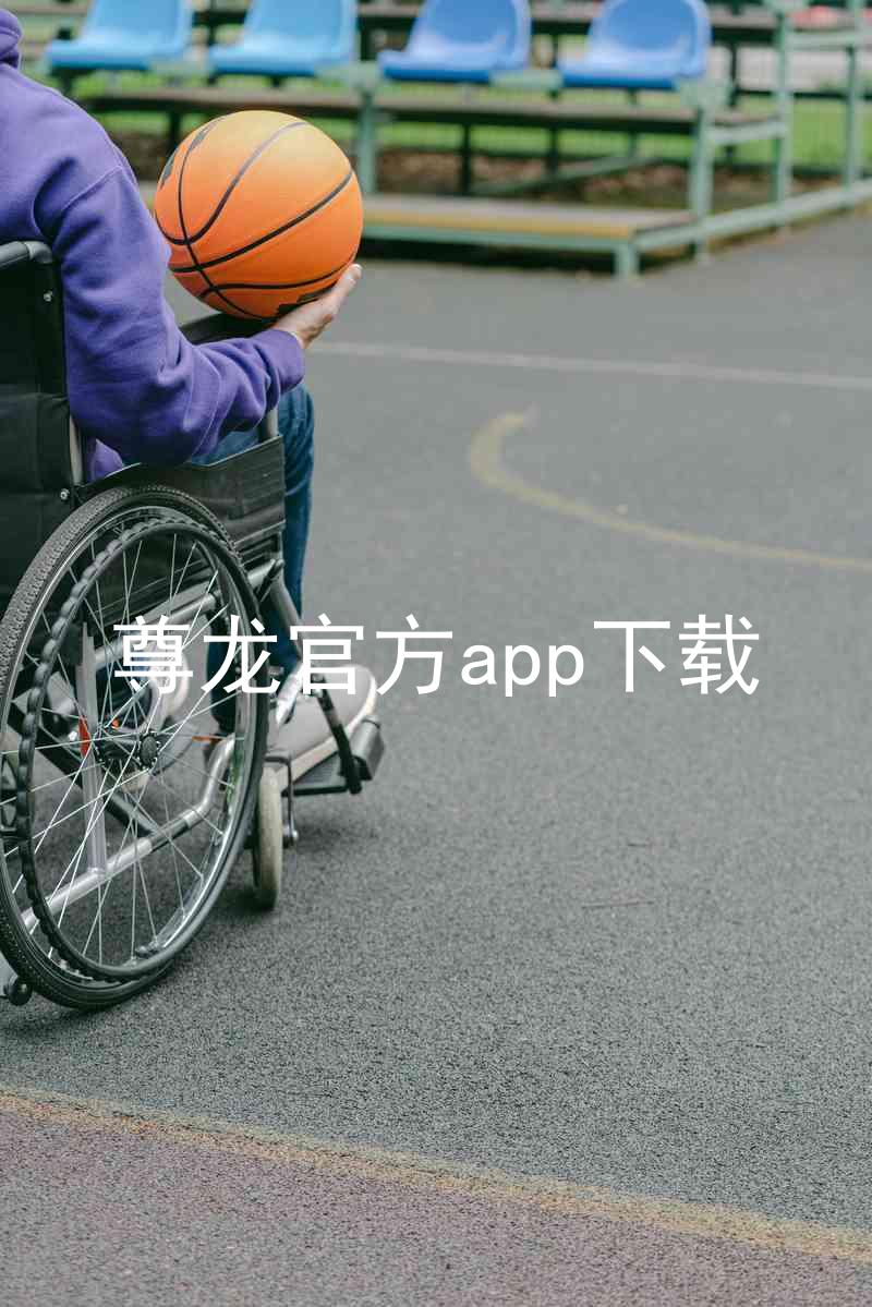 尊龙官方app下载