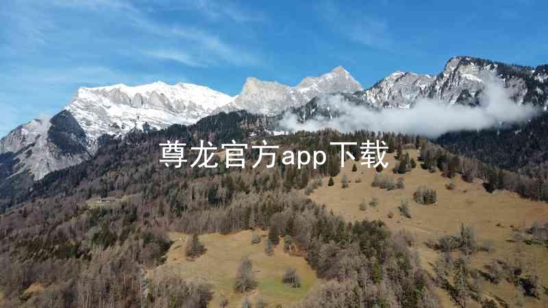 尊龙官方app下载