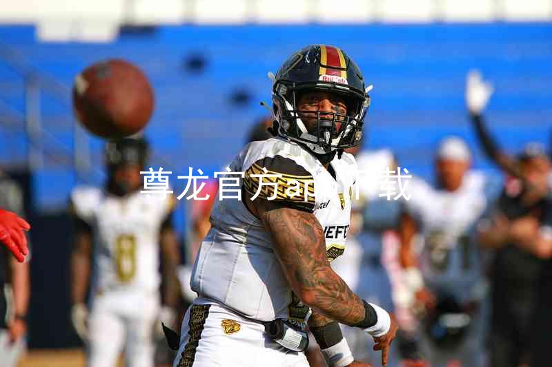 尊龙官方app下载